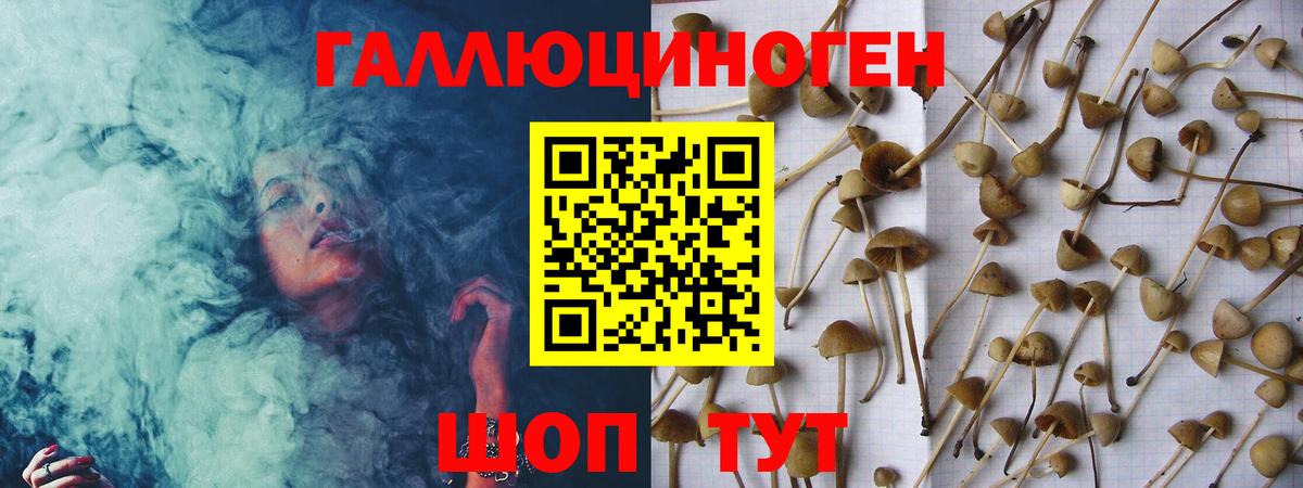 Тавда  Псилоцибиновые грибы мухоморы  Галлюциногенные грибы прущие грибы  Вход с VPN 