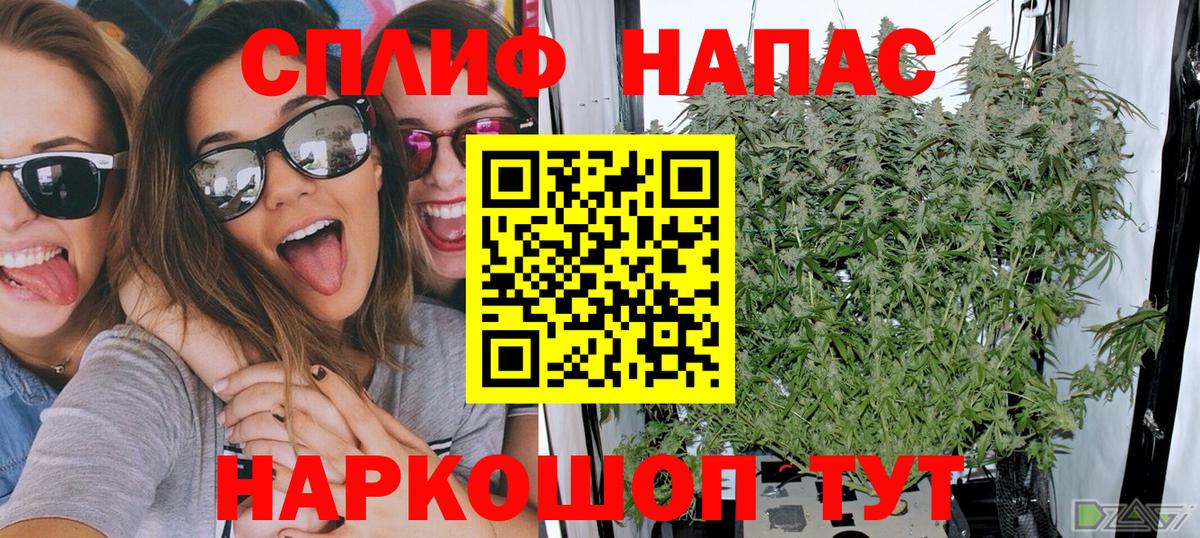 Бошки Шишки гибрид  Вход с VPN  Тавда  Бошки Шишки AK-47  Шишки марихуана сатива 